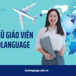 Đội ngũ giáo viên tiếng Hàn trình độ TOPIK 6 tại ICOLanguage